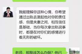 和林格尔侦探事务所