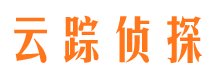 和林格尔侦探公司